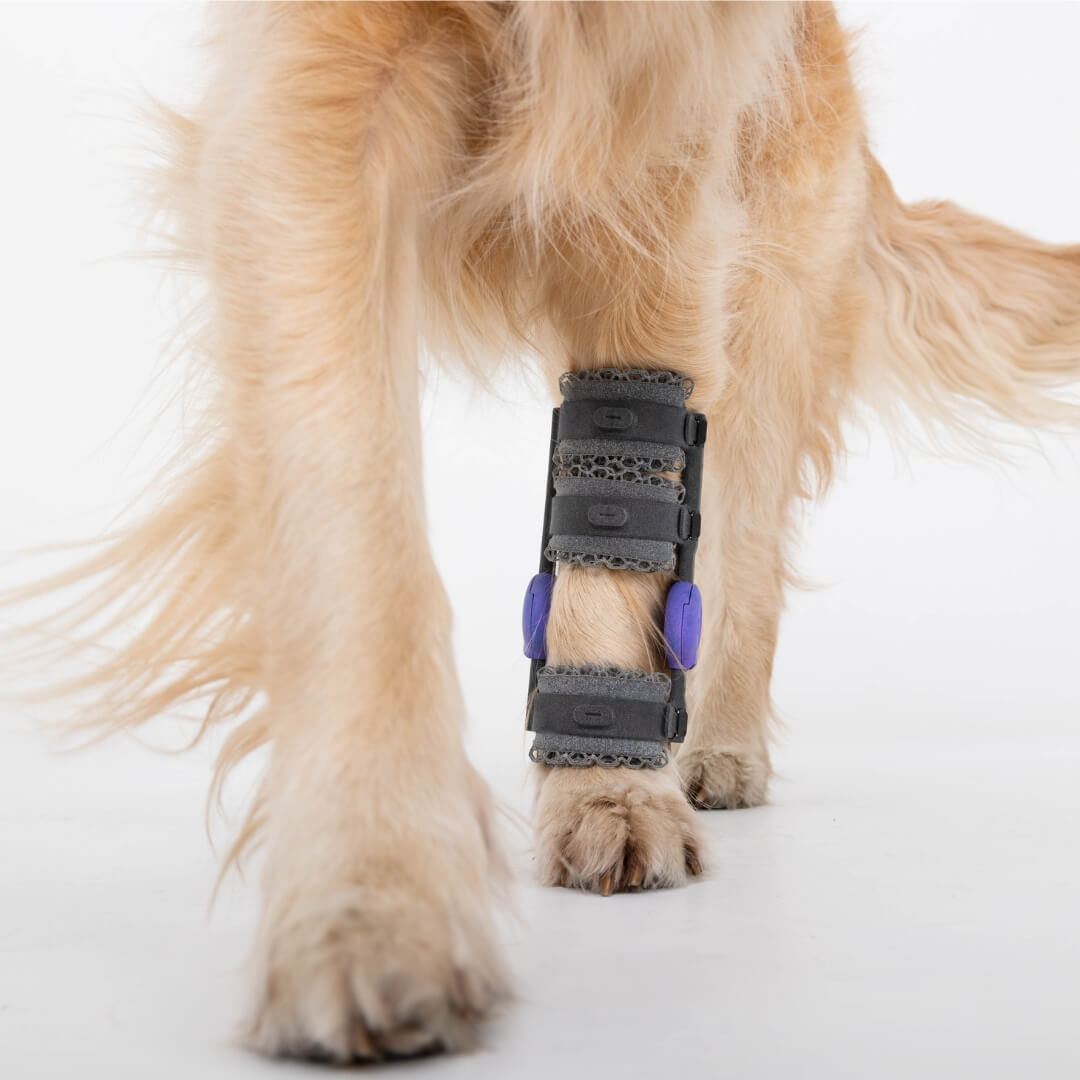 carpal orthotic for dogs