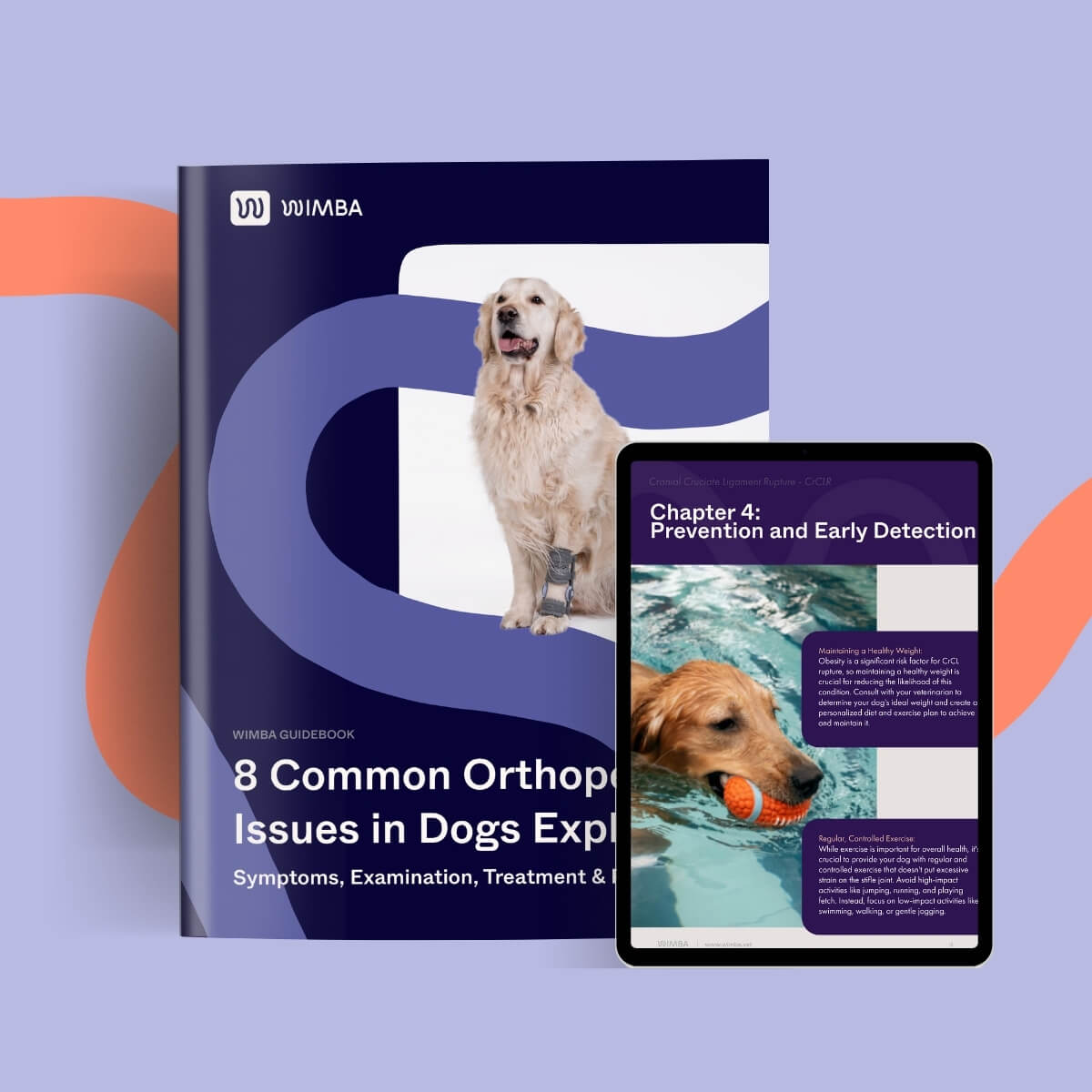 8 Common Orthopedic Issues in Dogs Explained