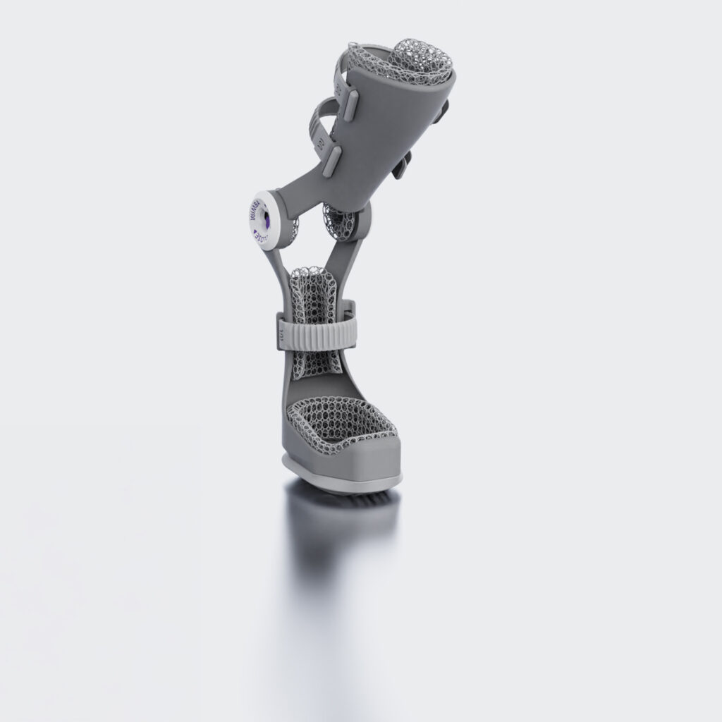 wimba tarsus orthosis pro with paw support