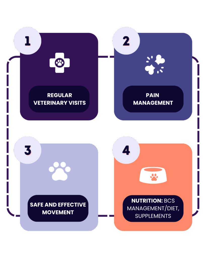 Dog Osteoarthritis