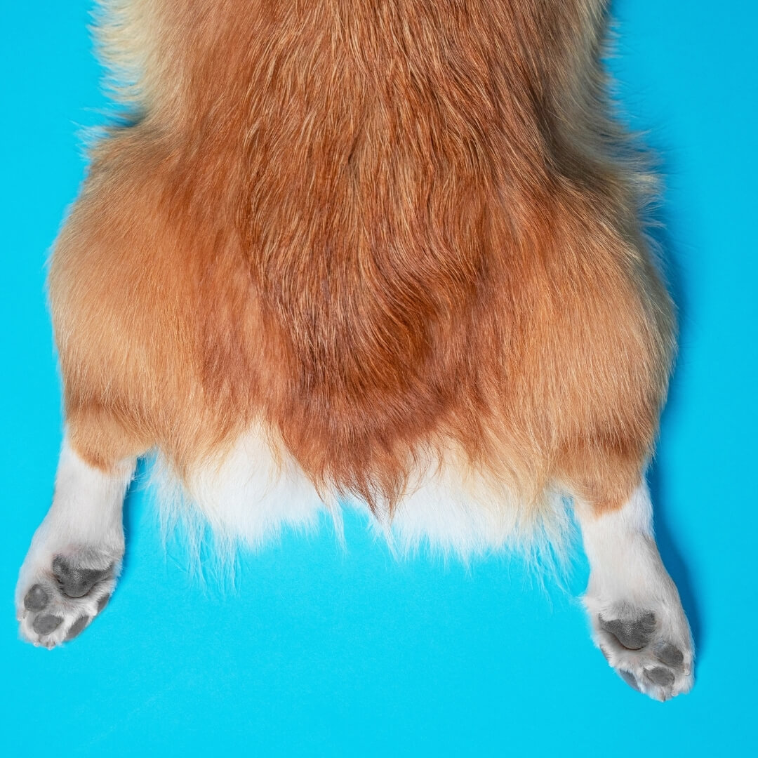 Early Signs and Subtle Changes of Hip Dysplasia