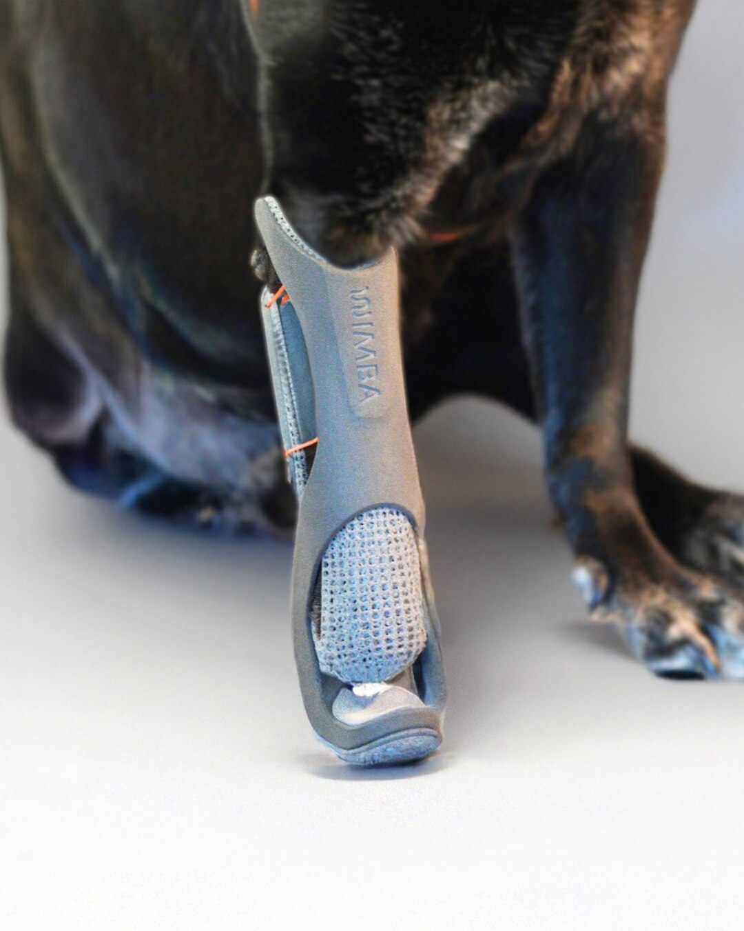 wimba prosthetics pro