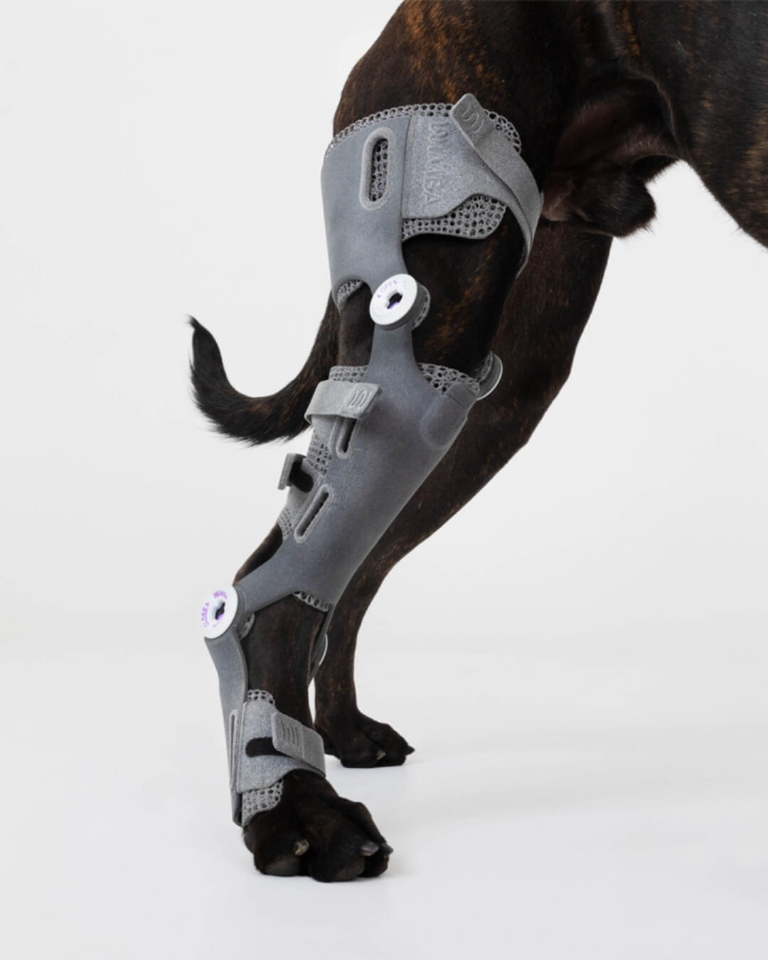 wimba stifle orthosis pro