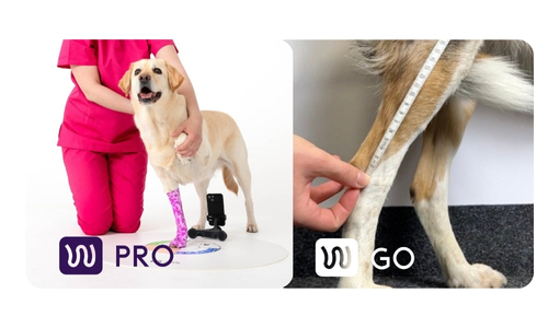 Veterinary Visit – Measurement Acquisition - for WIMBA Go and WIMBA Pro