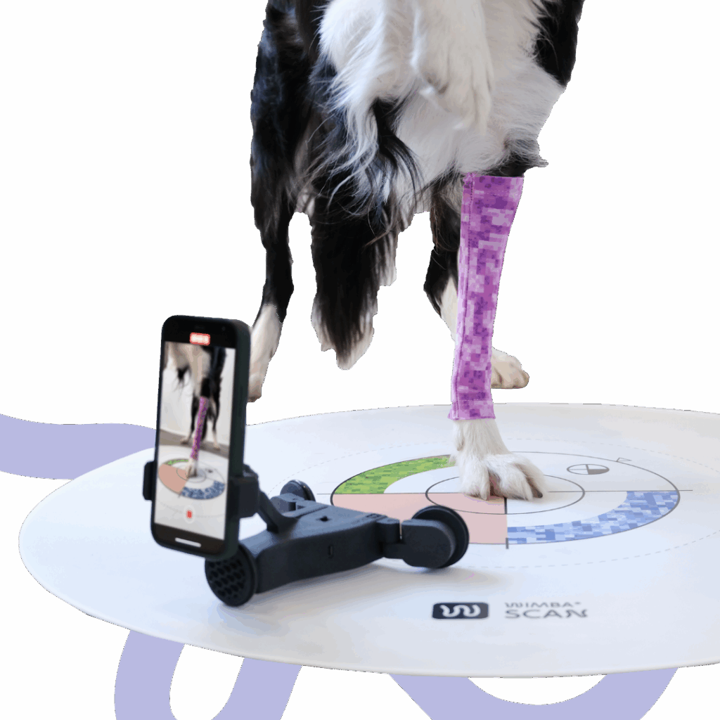 WimbaAPP for Dog Orthotic Fitting Clinics: The Fastest Way to Start Offering Custom Orthotics