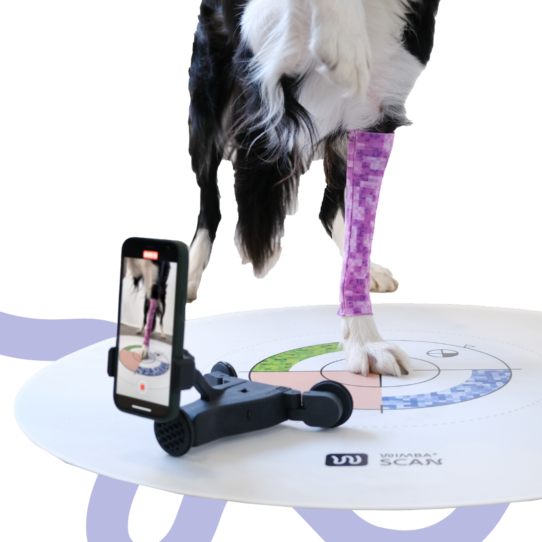 WimbaAPP for veterinary clinics
