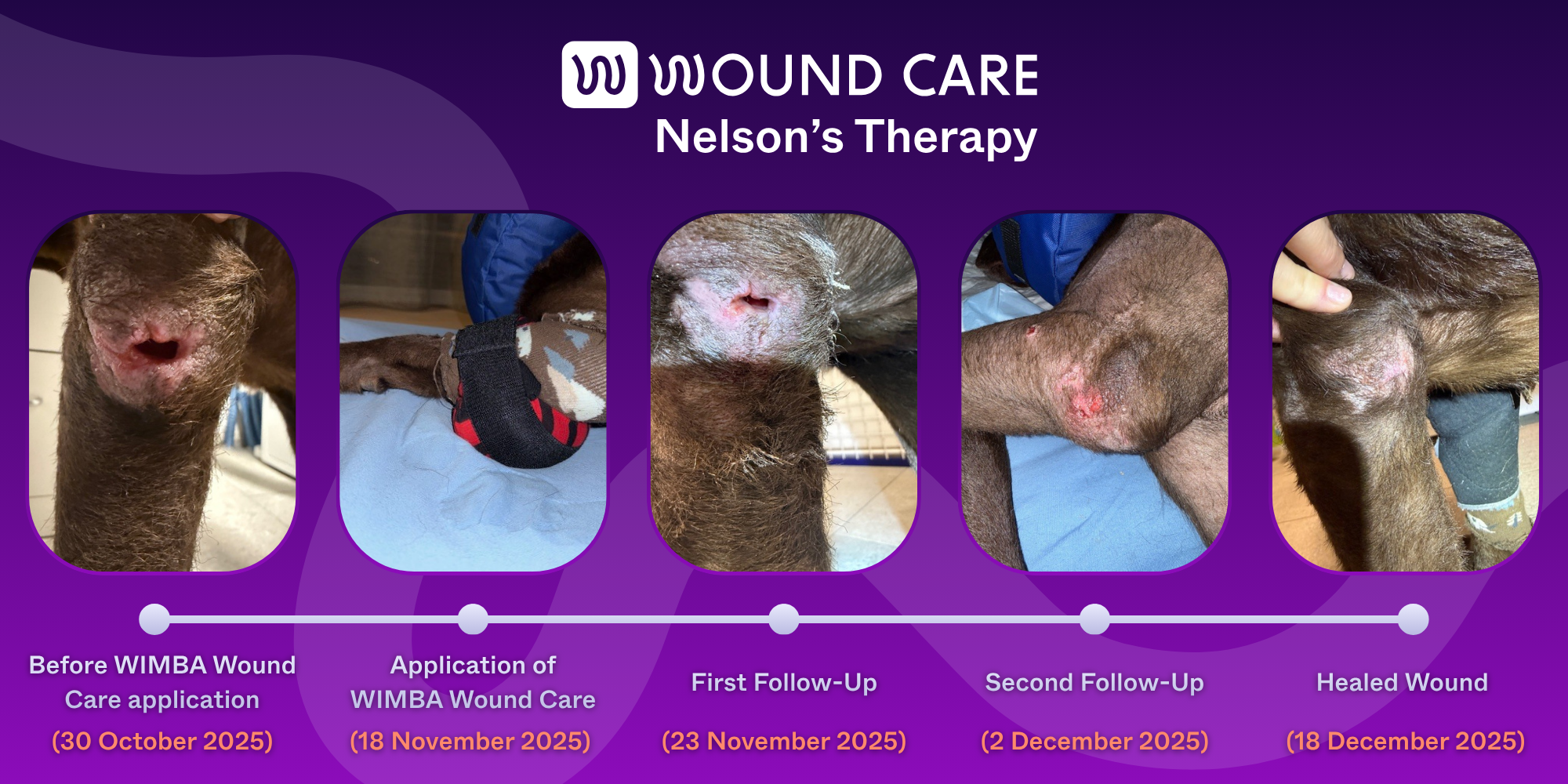 nelson timeline therapy