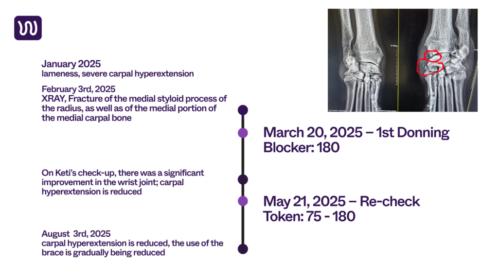 therapy timeline