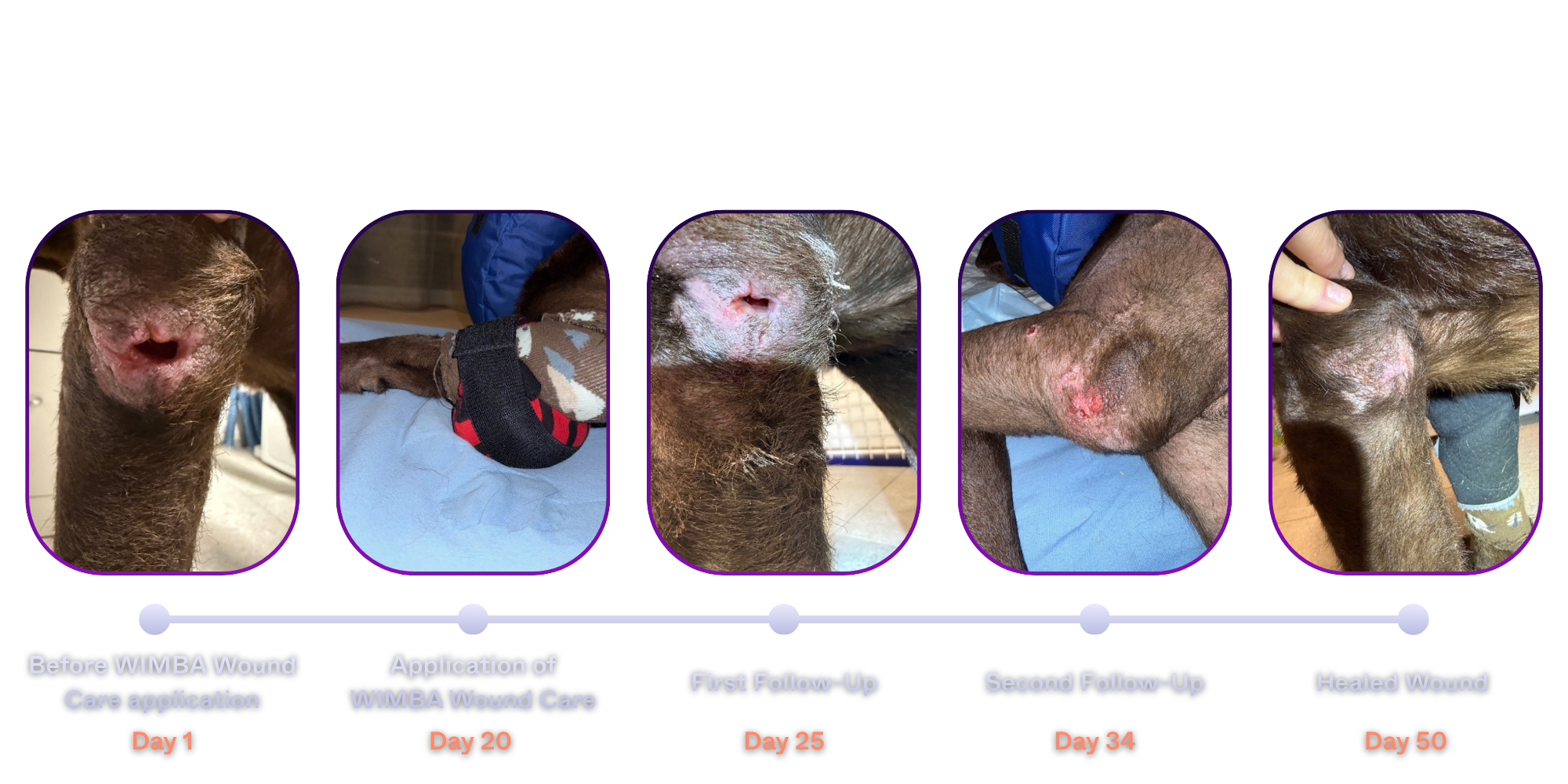 Nelson wound care timeline