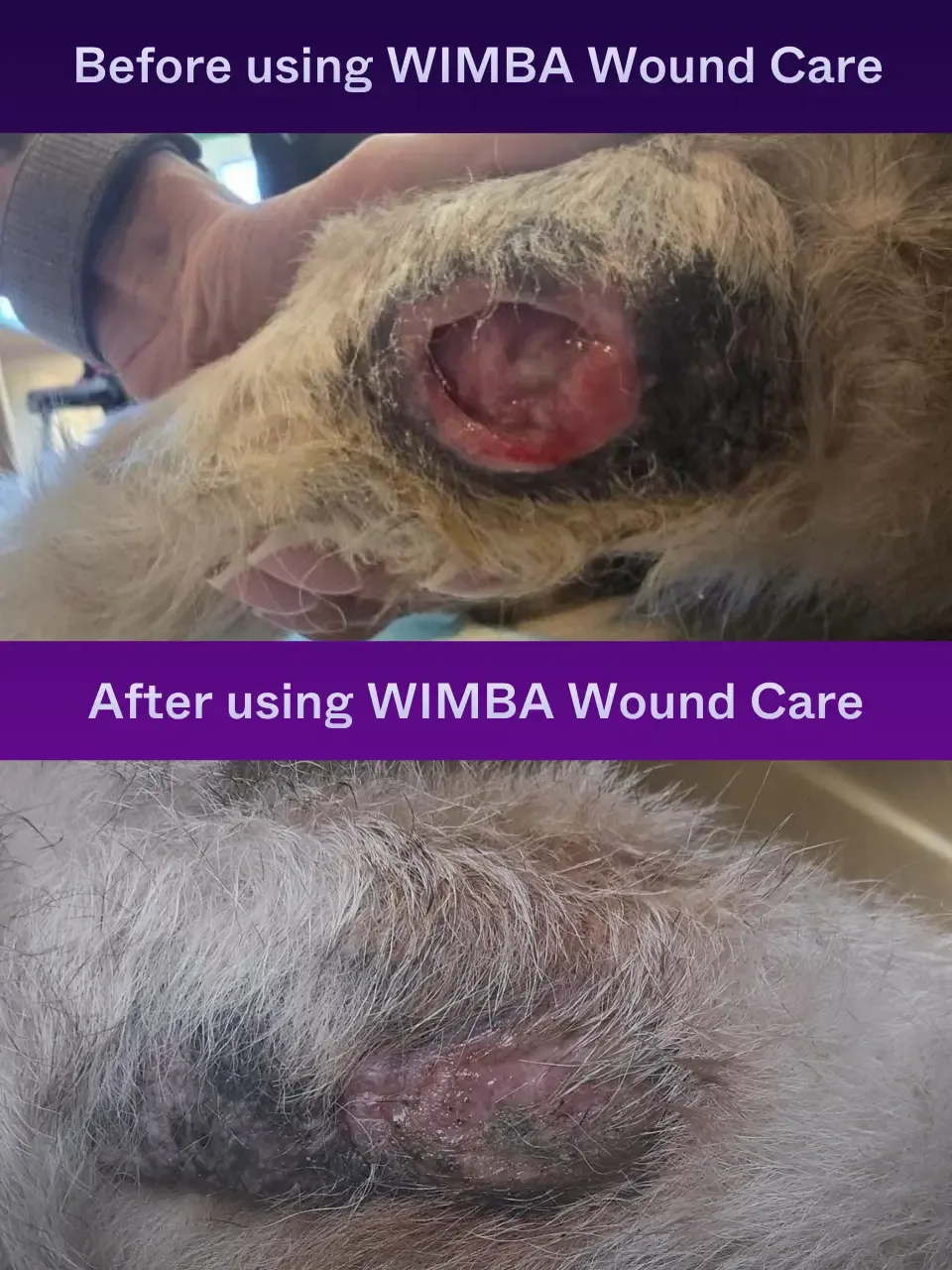 before after using wound care