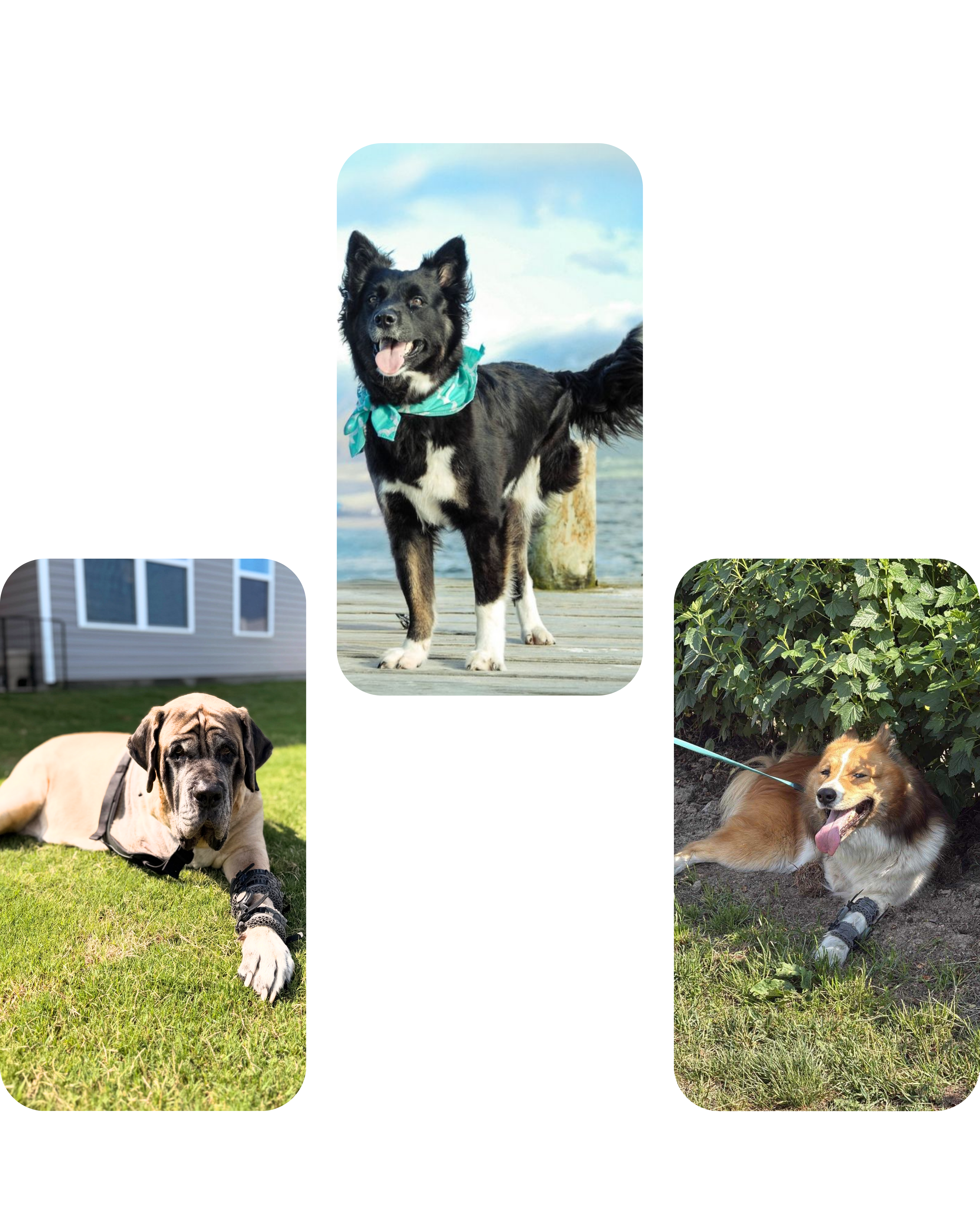 tripod mobility