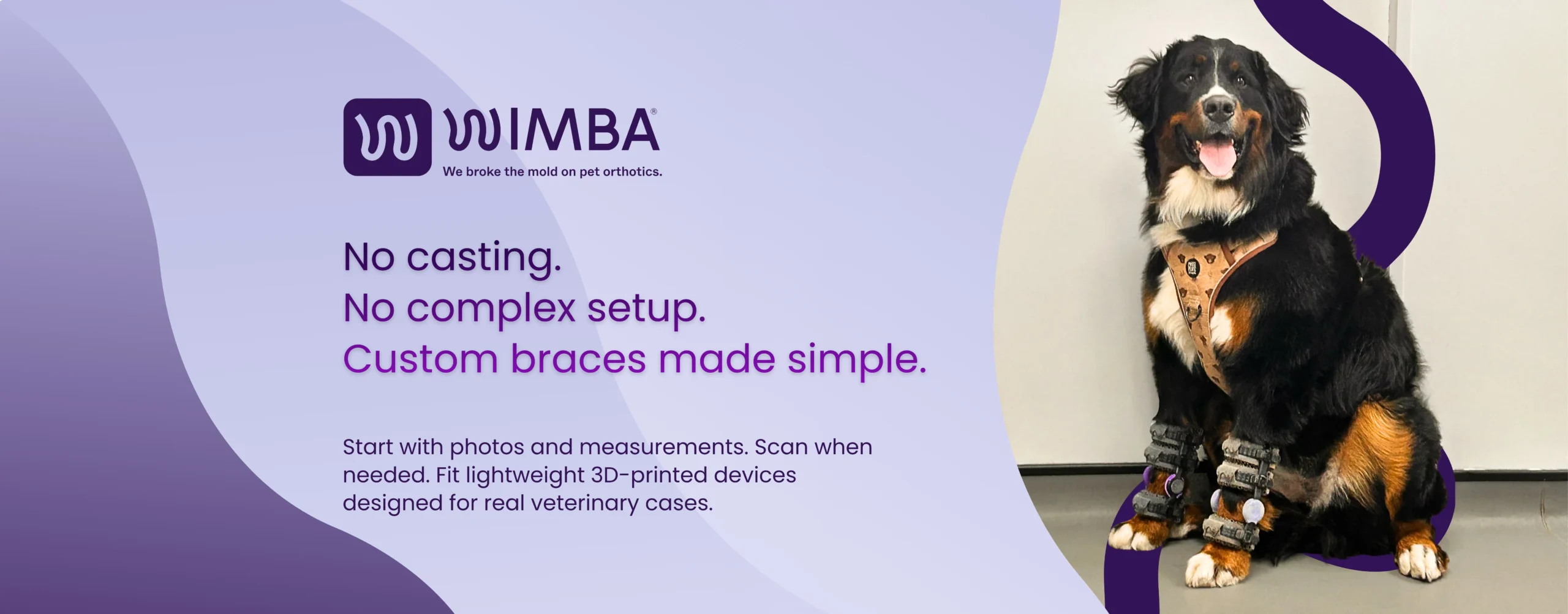 Bernese Mountain Dog wearing a WIMBA 3D-printed veterinary orthotic on the front leg