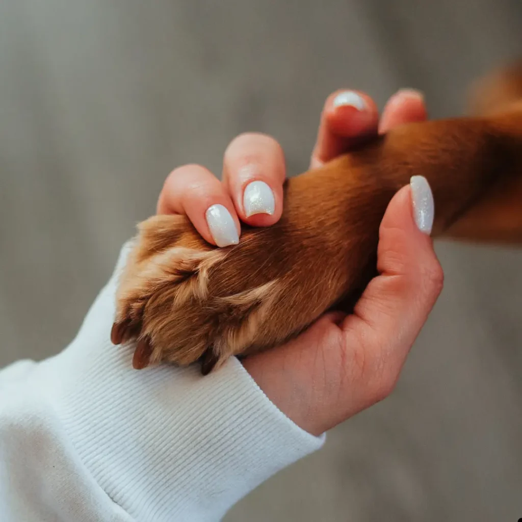 Do Dogs Have Wrists? A Guide to Dog Wrist Anatomy